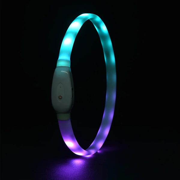 Rechargeable LED Glowing Dog Collar