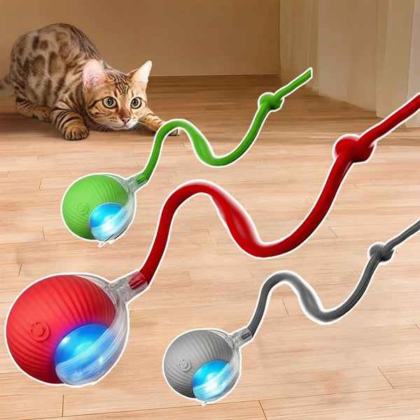 Rechargeable Rolling Cat Tail Ball