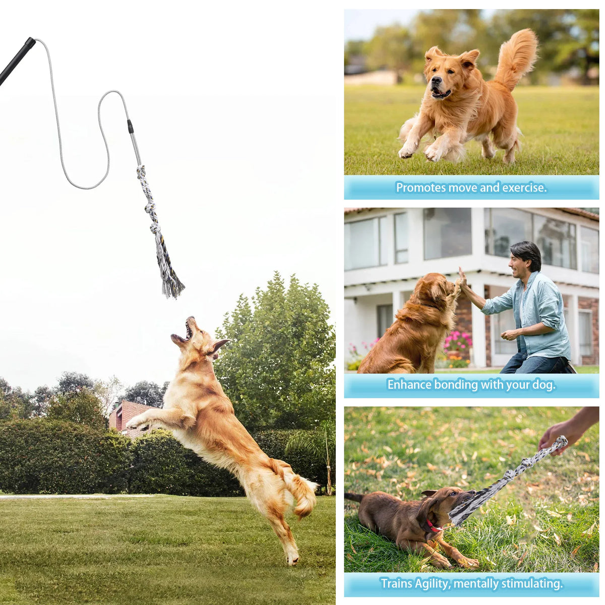 Interactive Dog Flirt Exercise Pole