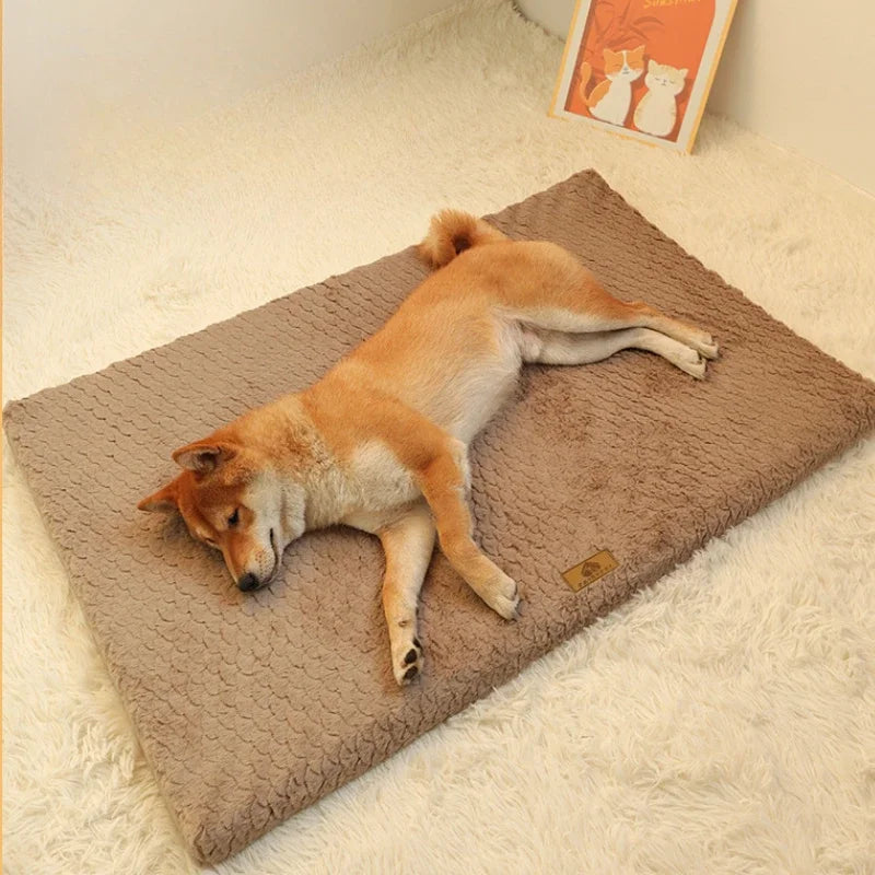Memory Foam Washable Dog Bed