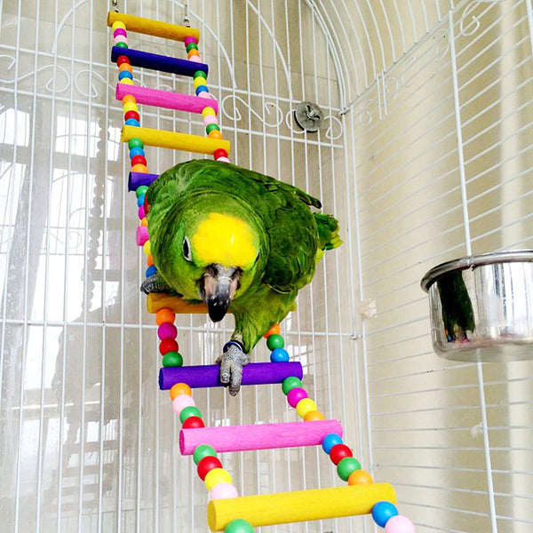 Colorful Twelve Step Bird Ladder