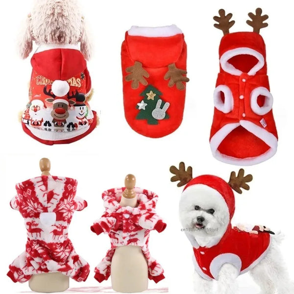 Printed Santa Pet Holiday Costume