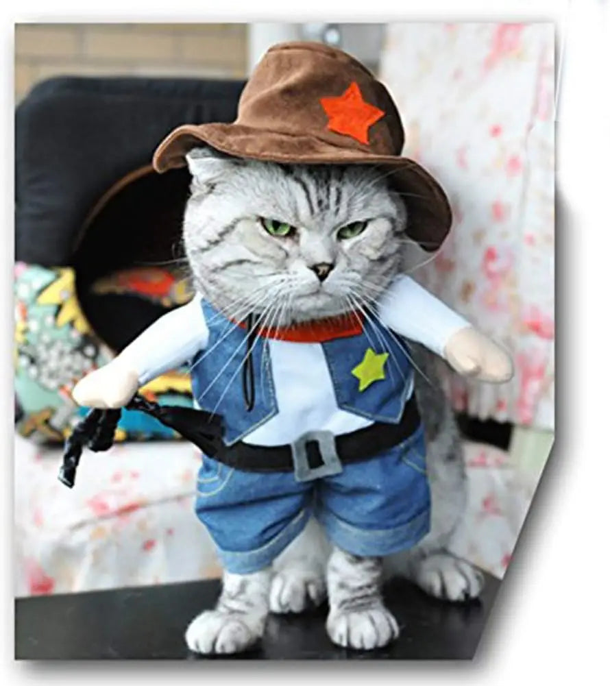 Cowboy Costume For Small Pets