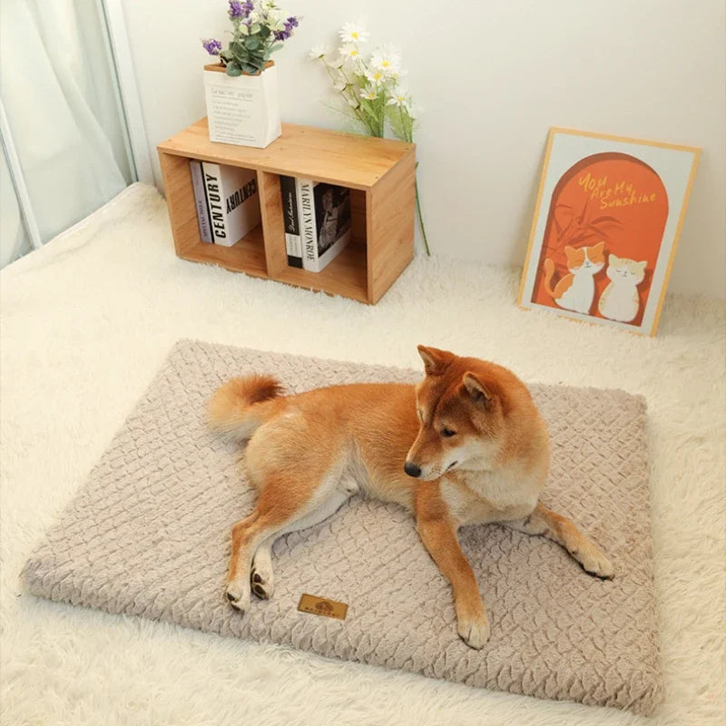 Memory Foam Washable Dog Bed