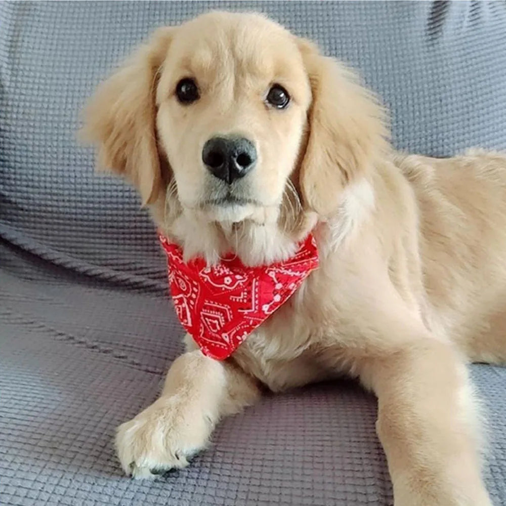 Adjustable Printed Dog Bandana Collar