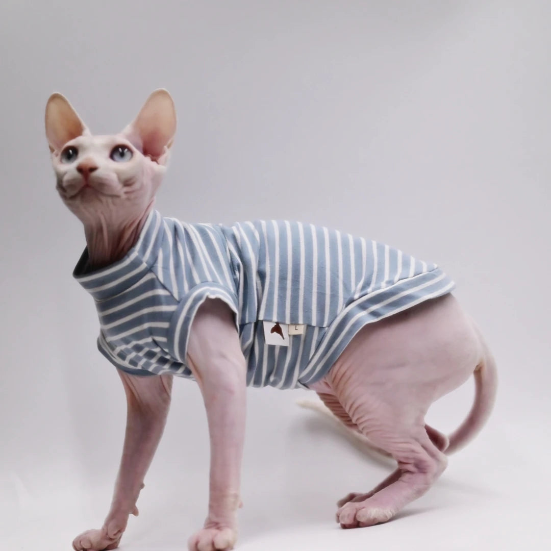 Stretch Cotton Sphynx Summer Vest