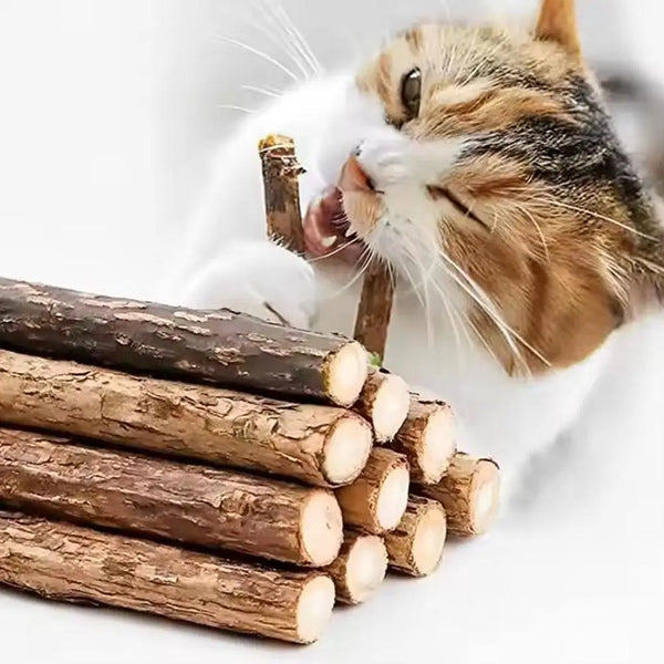 Natural Wooden Cat Chew Sticks