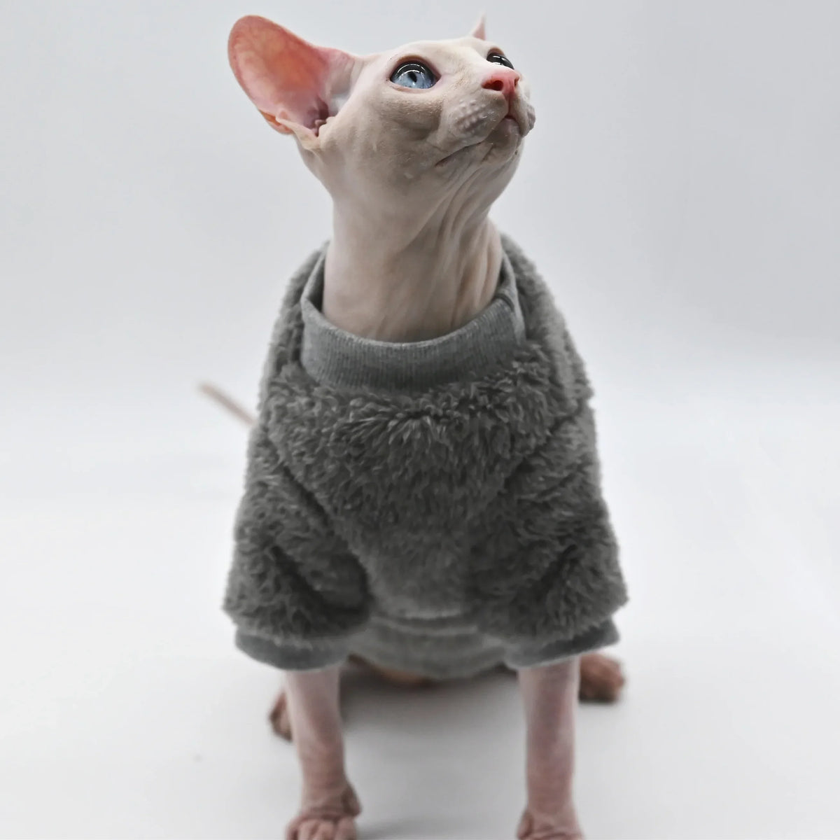 Fluffy Winter Sphynx Cat Jacket