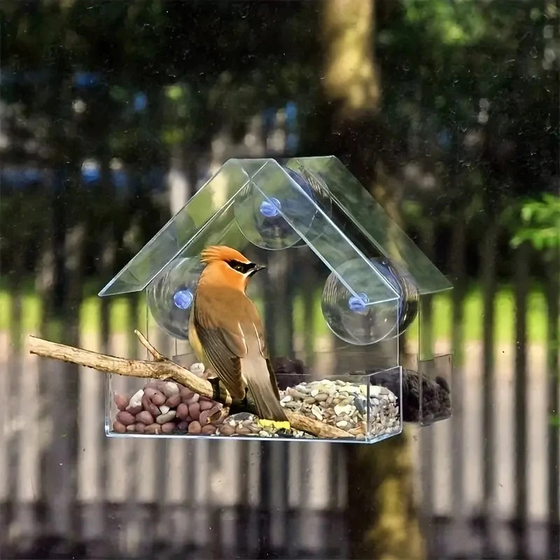 White Window Suction Bird Feeder
