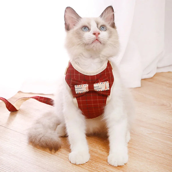 Adjustable Mesh Pet Harness Set