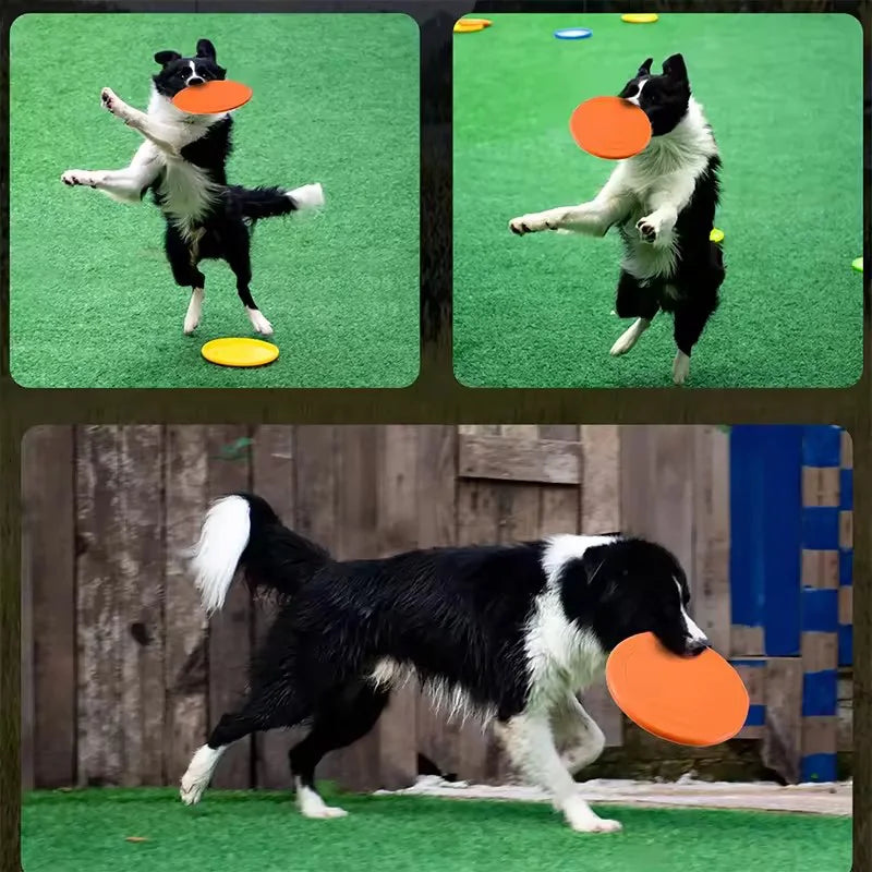 Soft Rubber Dog Flying Disc