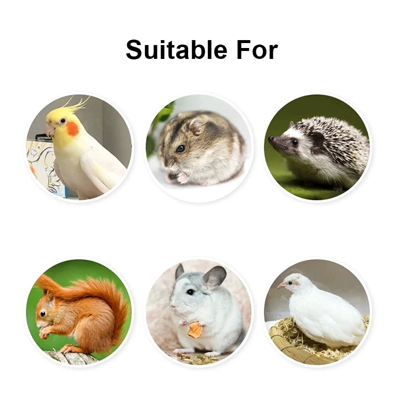 Detachable Hanging Bird Feeding Cup