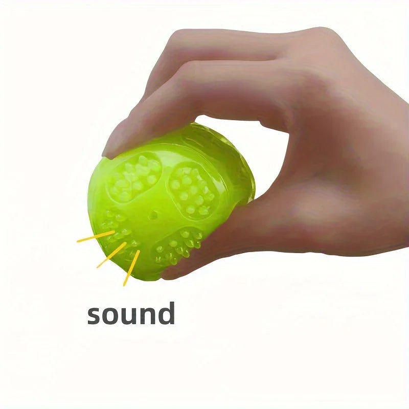 Glow In Dark Squeaky Ball