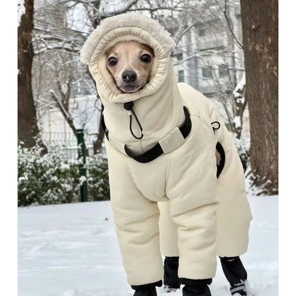 Thickened Cotton Greyhound Winter Jacket