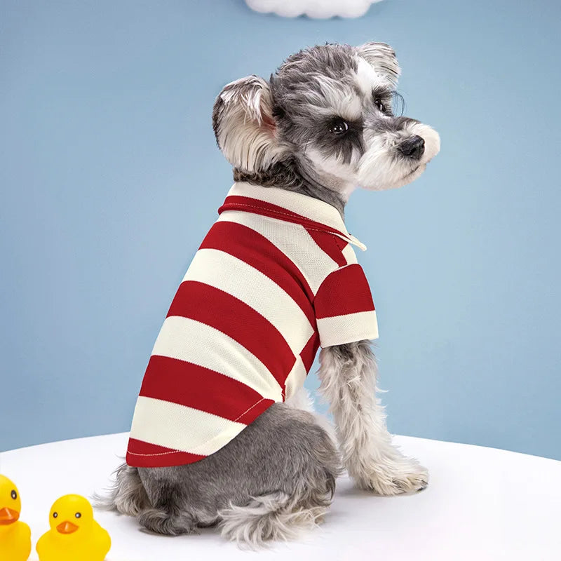 Striped Summer Dog Polo Shirt