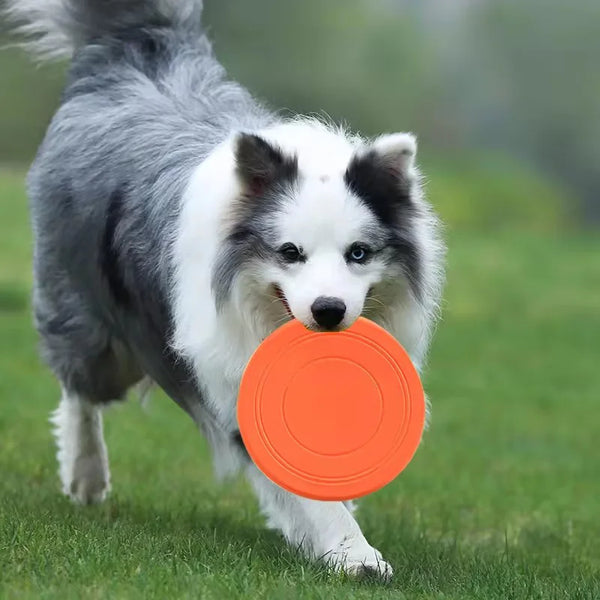 Soft Rubber Dog Flying Disc