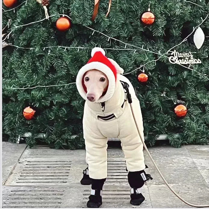Thickened Cotton Greyhound Winter Jacket