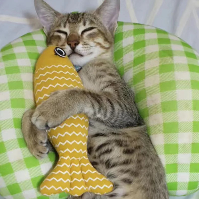Fish Shaped Cat Kicker Toy