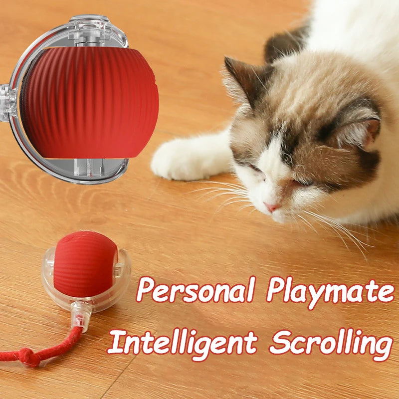 Rechargeable Rolling Cat Tail Ball