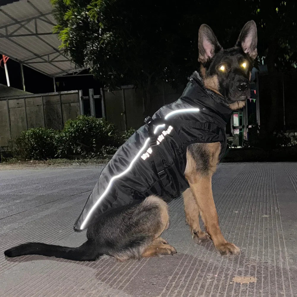 Insulated Fur Collar Dog Jacket