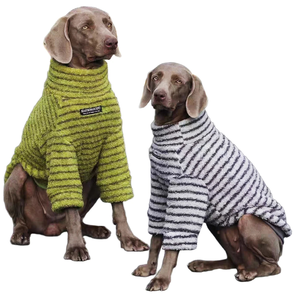 Striped Cotton Turtleneck Dog Sweater