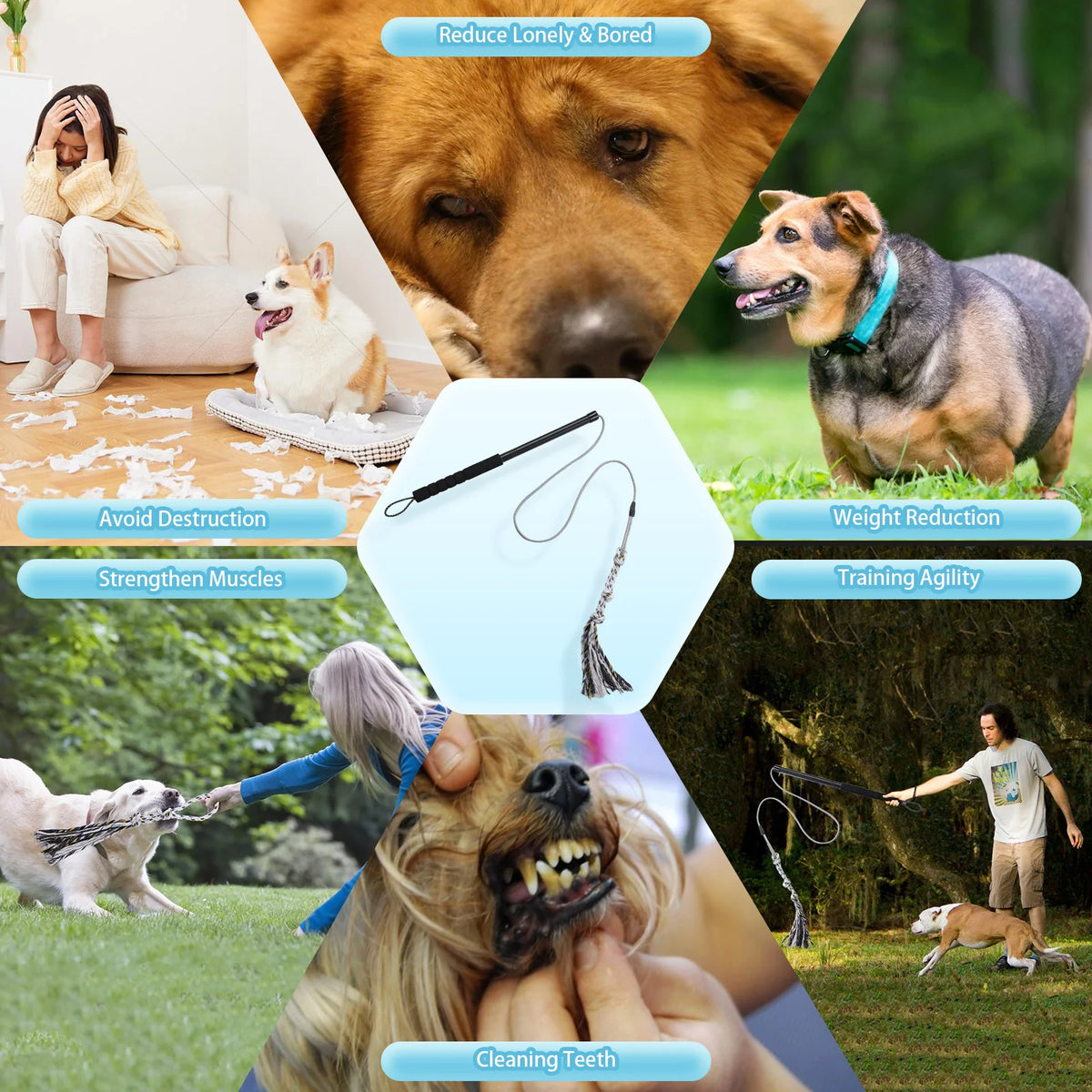 Interactive Dog Flirt Exercise Pole