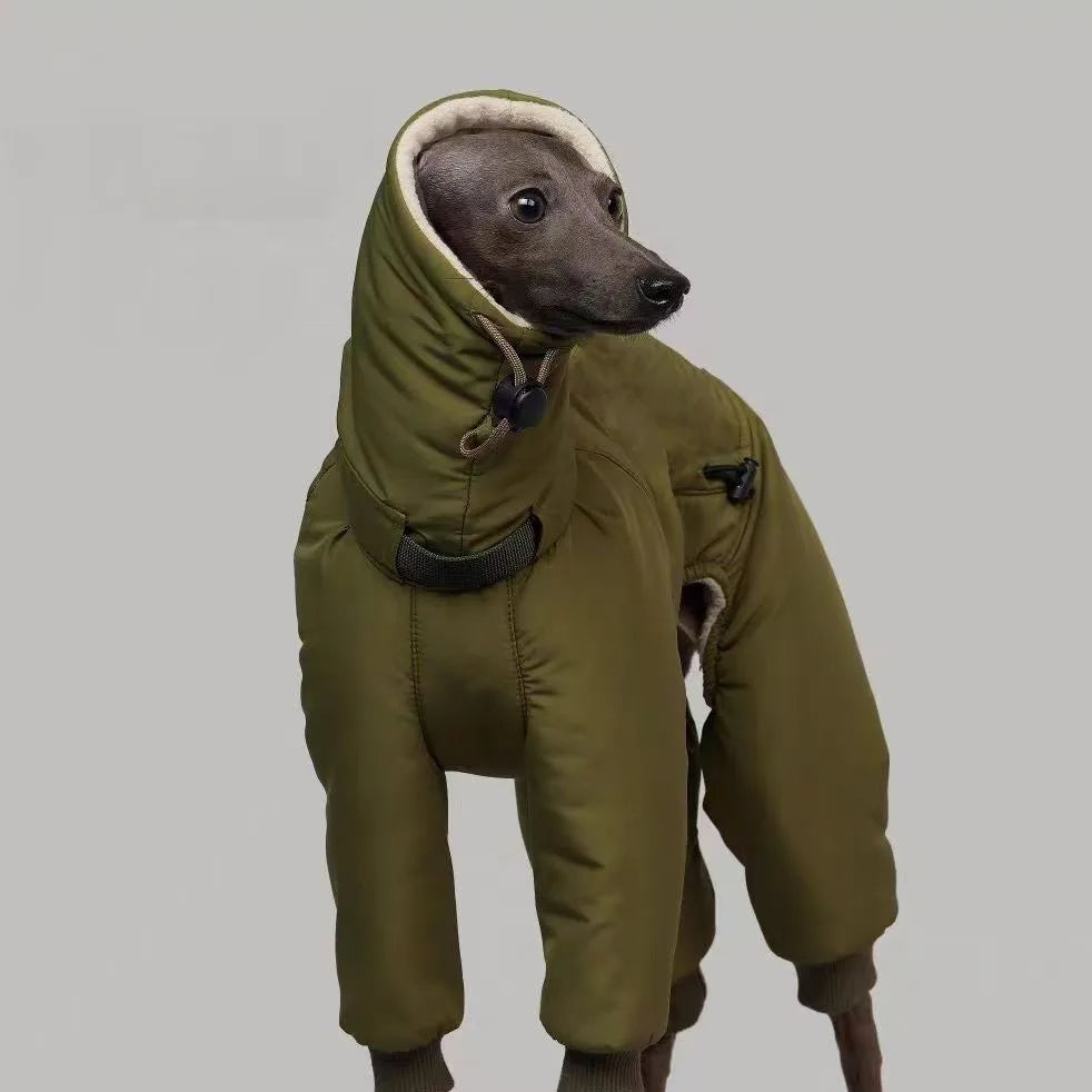 Thickened Cotton Greyhound Winter Jacket