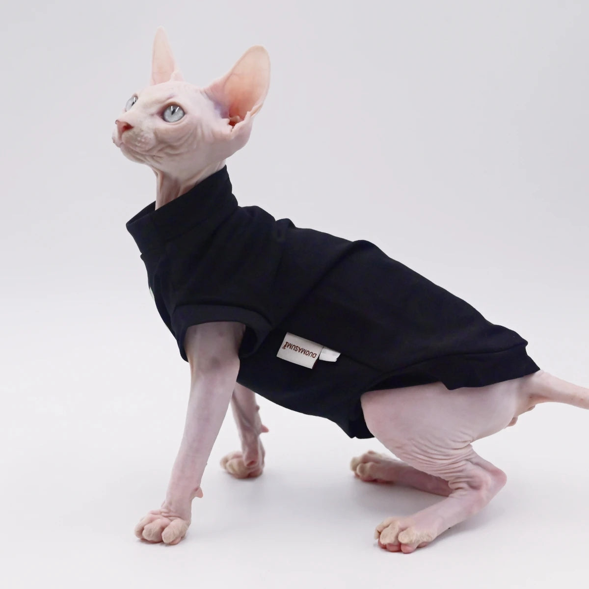 Stretch Cotton Sphynx Summer Vest