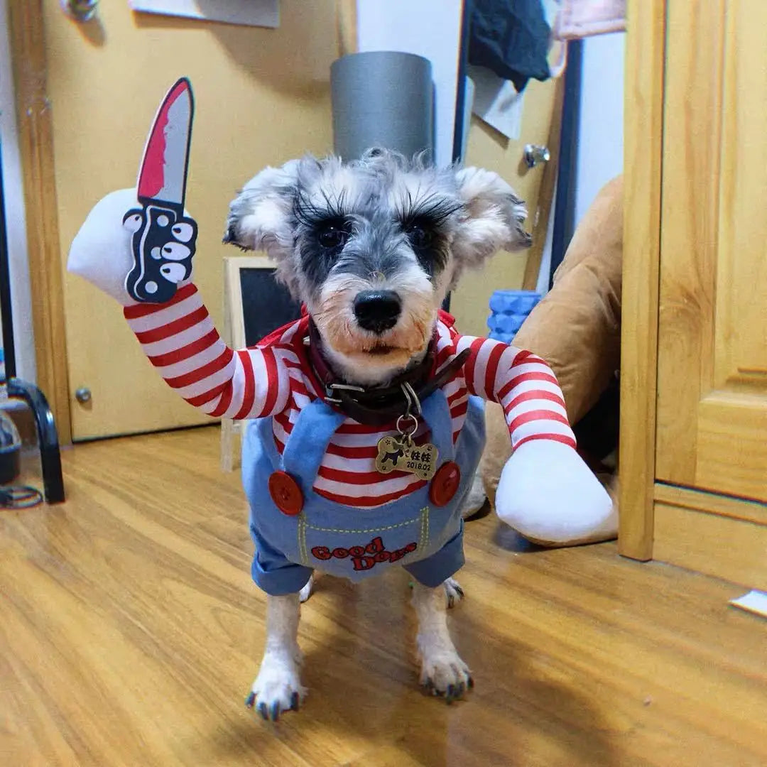 Striped Halloween Dog Costume Outfit