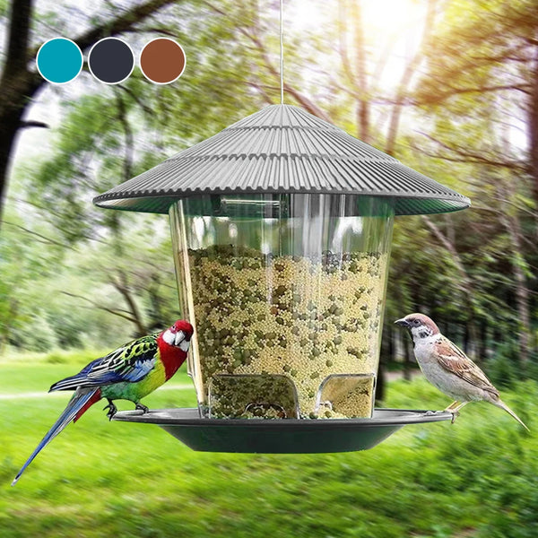 Hanging Outdoor Bird Seed Feeder
