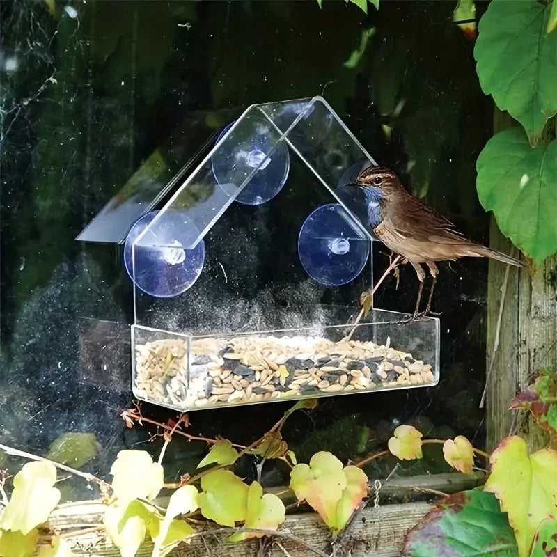 White Window Suction Bird Feeder