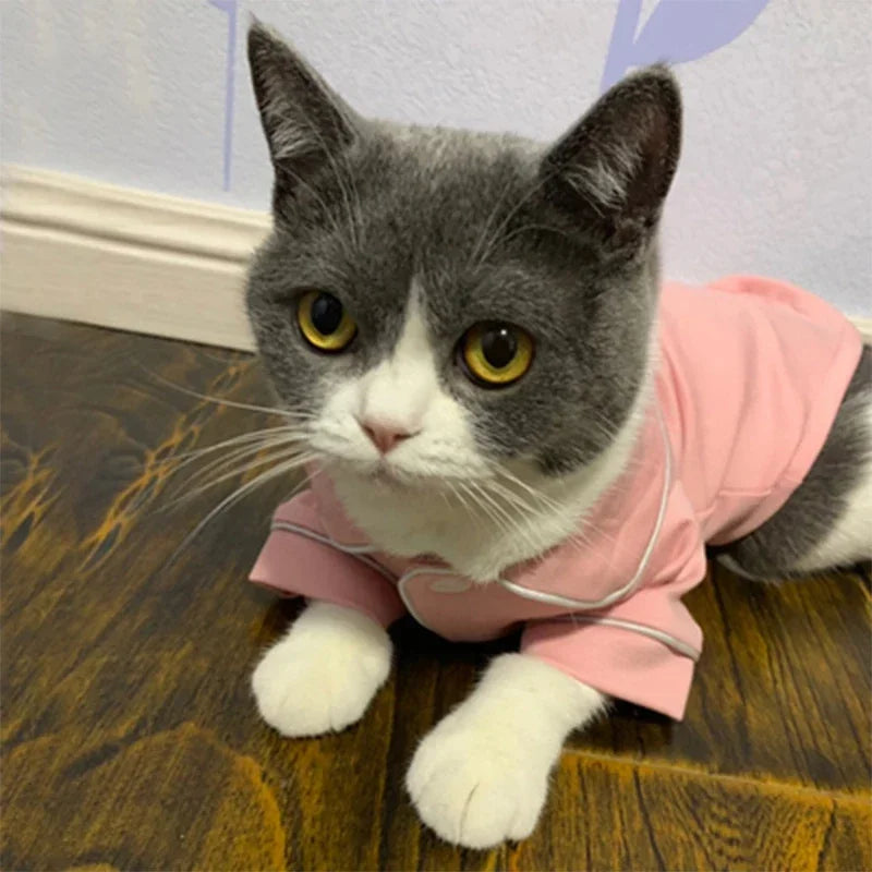Christmas Cat Sweatshirt Hoodie Outfit
