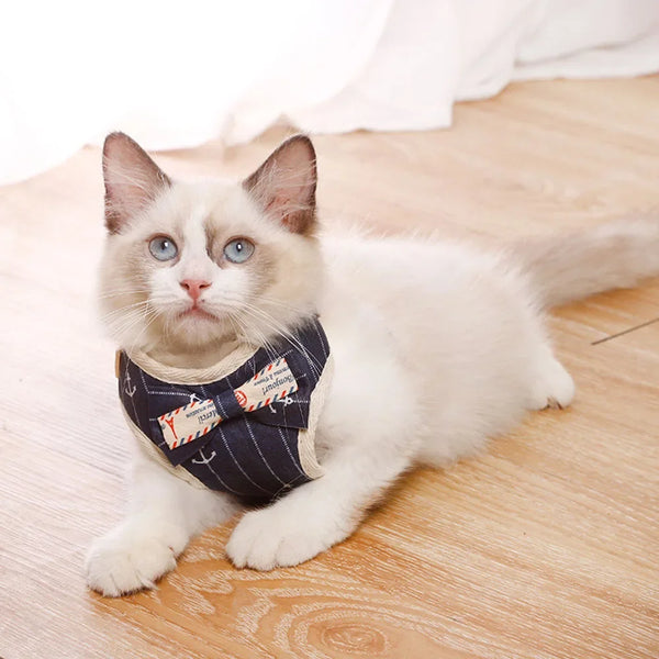 Adjustable Mesh Pet Harness Set