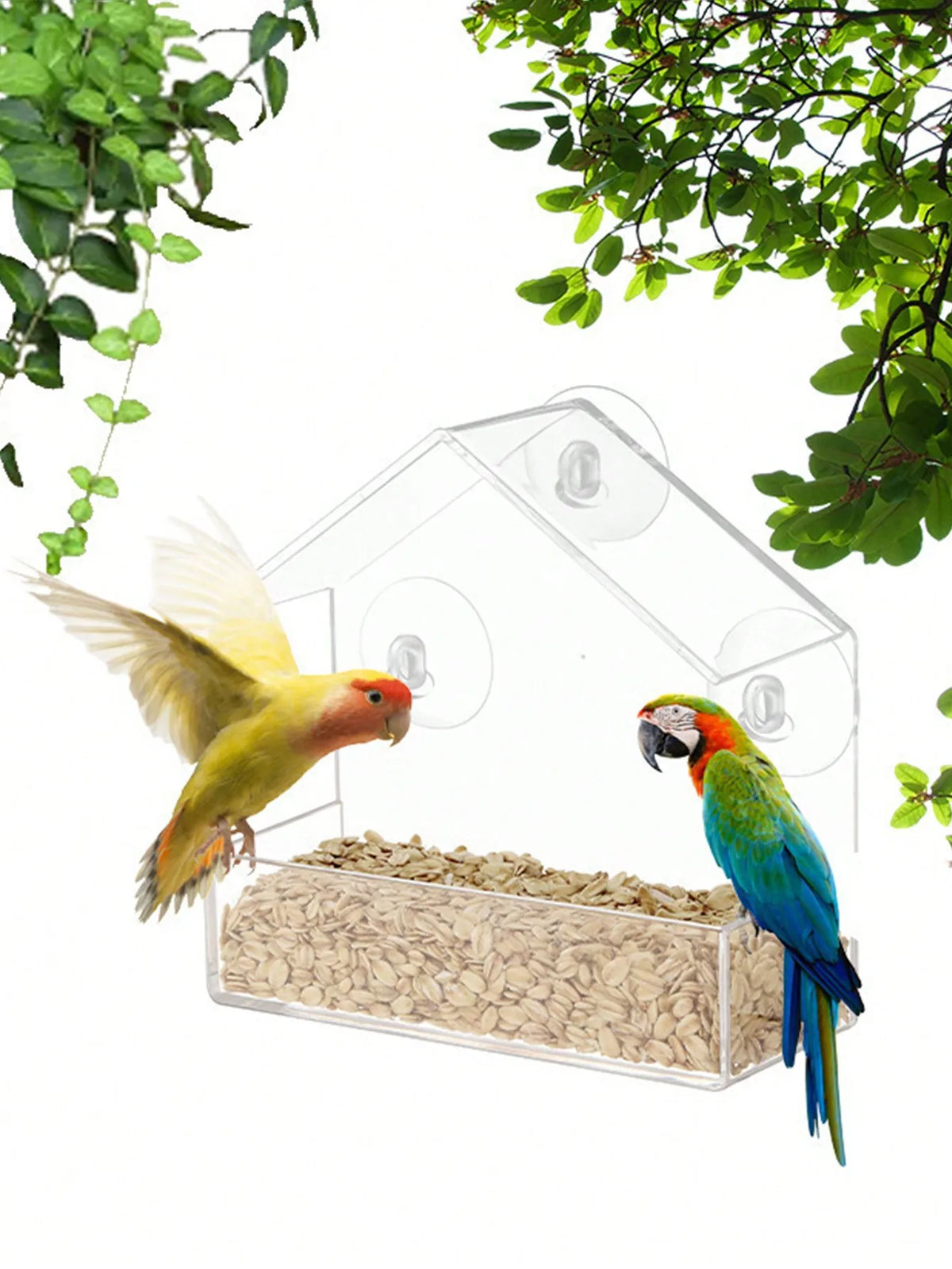 White Window Suction Bird Feeder