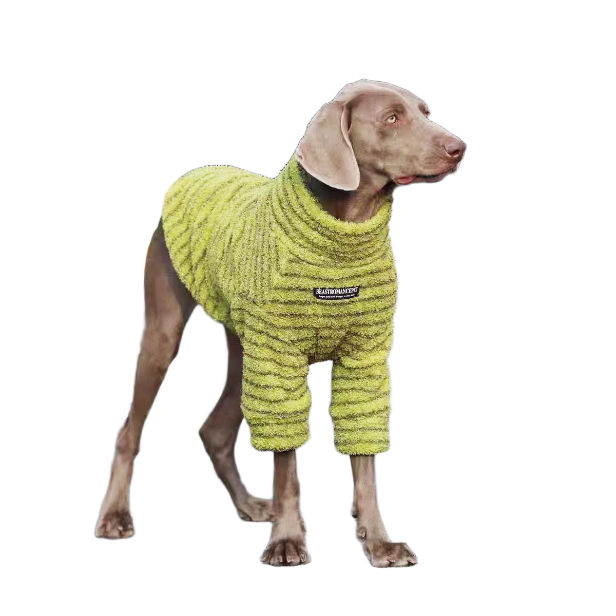 Striped Cotton Turtleneck Dog Sweater