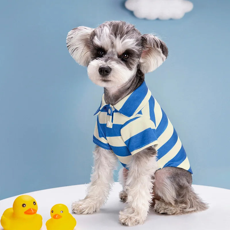 Striped Summer Dog Polo Shirt