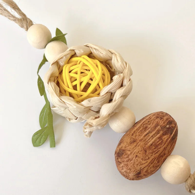 Pinecone Rope Parrot Chew Toy