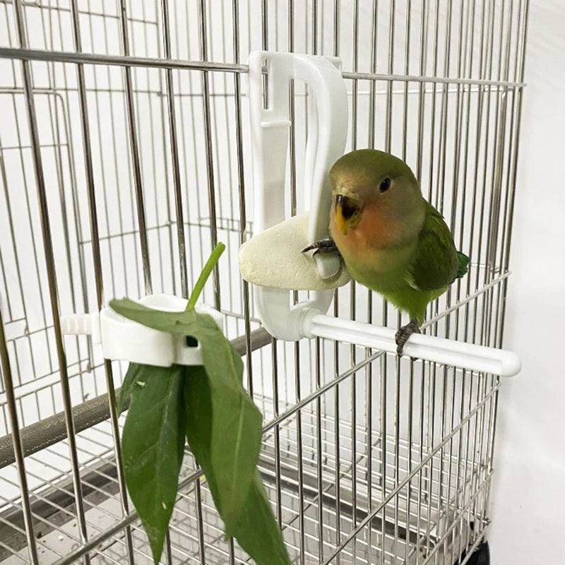 Clip On Bird Food Holder
