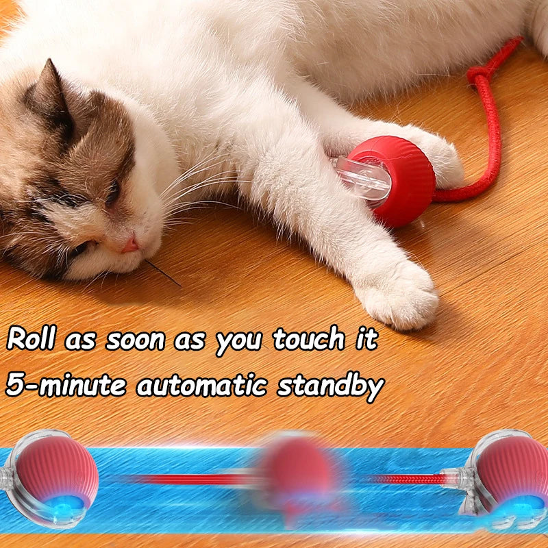 Rechargeable Rolling Cat Tail Ball